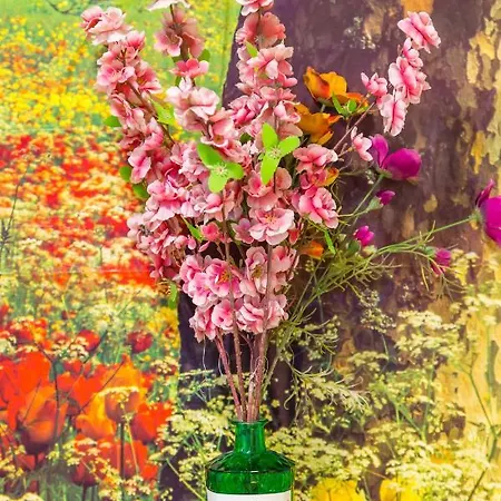 アパート Museo Filangieri ナポリ